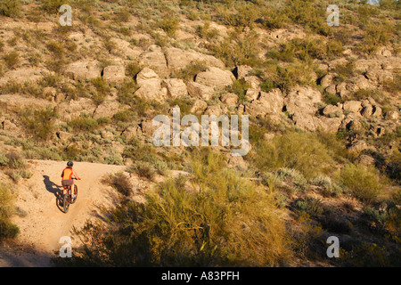 Mountainbiken auf den Competive Trails McDowell Mountain Regional Park in der Nähe von Fountain Hills östlich von Phoenix Arizona Stockfoto