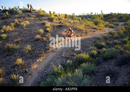 Mountainbiken auf den Competive Trails McDowell Mountain Regional Park in der Nähe von Fountain Hills östlich von Phoenix Arizona Stockfoto