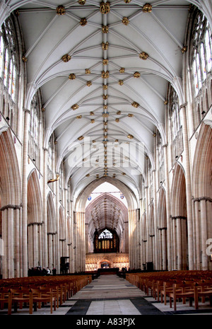 Das Kirchenschiff, York Minster Stockfoto