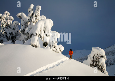 Schneeschuhwandern im Turnagain Pass Chugach National Forest Alaska Modell veröffentlicht Stockfoto