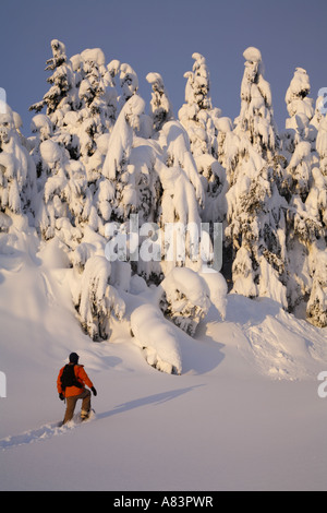 Schneeschuhwandern im Turnagain Pass Chugach National Forest Alaska Modell veröffentlicht Stockfoto