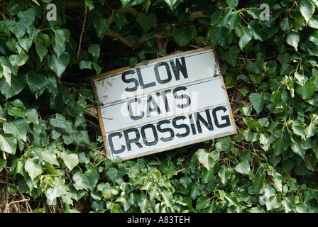 Langsame Katzen Crossing Ortsschild Ulliswick Herefordshire England HOMER SYKES Stockfoto