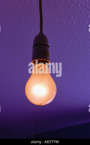 Herkömmliche Glühbirne an Decke Stockfoto