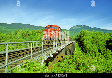 Zug auf der Brücke Stockfoto