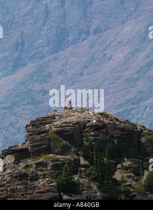 Wanderer am Gipfel Tundra Glacier Nationalpark montana Stockfoto