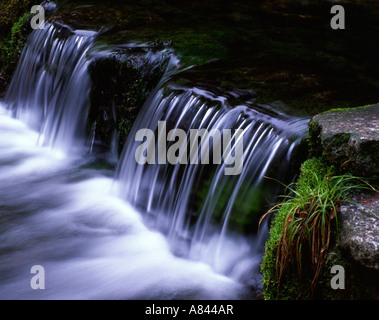 Farn Feder Wasserfall im Yosemite National Park, Kalifornien, USA Stockfoto