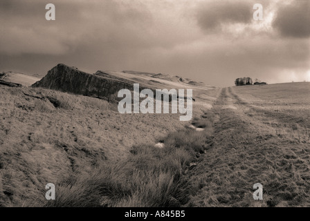 Reste des "Vallum" in der Nähe von Hadrian Wand bei Cawfields Northumberland England UK Stockfoto