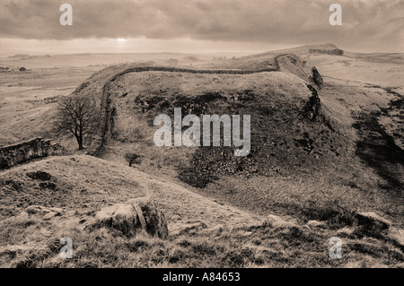 Hadrian Wand Sycamore Gap Northumberland England UK Stockfoto