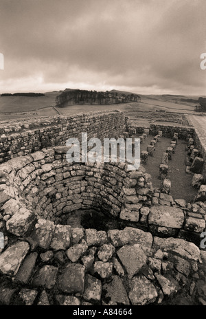 Reste des römischen Kastells Housesteads Northumberland England UK Stockfoto