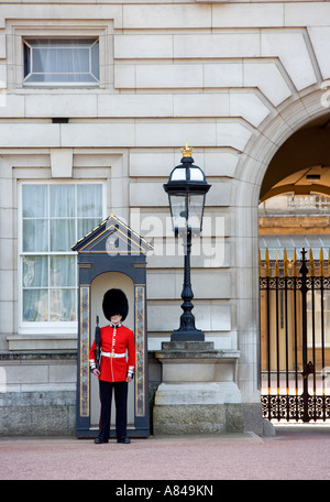 Soldaten tragen rote Tunika und Bärenfell auf Wache vor Buckingham Palast. London, England, Vereinigtes Königreich Stockfoto