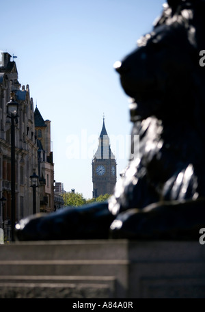 Blick auf "Big Ben" vom Trafalgar Square mit Löwen im Vordergrund, London, England, UK Stockfoto