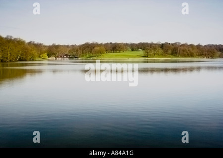 Waterloo See, Roundhay Park, Leeds Stockfoto