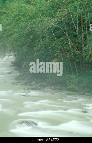 North Fork Nooksack River Glacier Washington Stockfoto