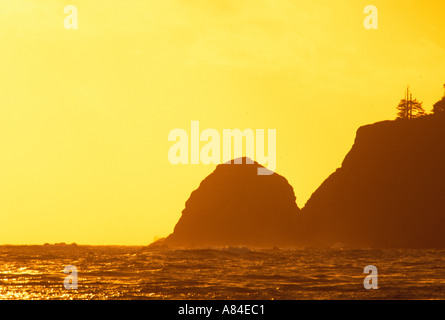 Sonnenuntergang über Bodelteh Inseln Cape Alava Schmeichelei Rocks National Wildlife Refuge Olympic Nationalpark Washington Stockfoto