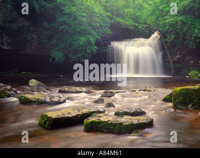 Den Kessel bei Burton fällt Yorkshire Dales Nationalpark West England UK Stockfoto