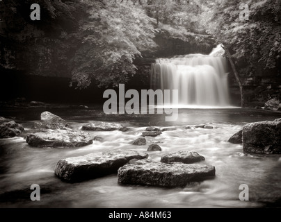 Den Kessel bei Burton fällt Yorkshire Dales Nationalpark West England UK Stockfoto