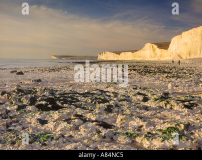 Die sieben Schwestern, die weißen Kreidefelsen bei Birling Gap in der Nähe von Seaford in East Sussex England UK Stockfoto