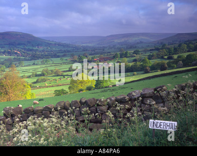 Low-Mühle in Farndale gesehen von Underhill Farm Yorkshire Moors Nationalpark England UK Stockfoto