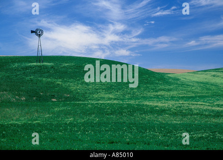 Whindmill in Weizen-Felder unter blauem Himmel mit Wolken Palouse Region Washington Stockfoto