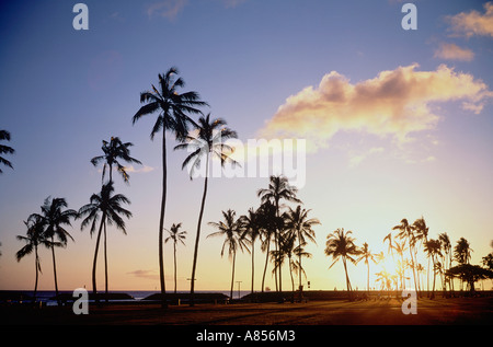 Hawaii Honolulu Waikiki Waterfront Sonnenuntergang Palmen Stockfoto