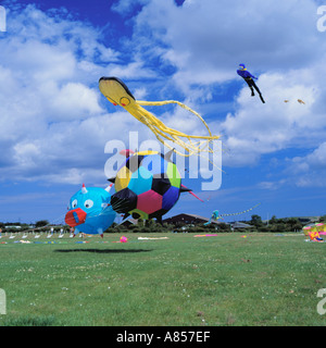 Bunten anders geformte Drachen im Kampf, Festival der Luft, Washington, Tyne and Wear, England, UK. Stockfoto