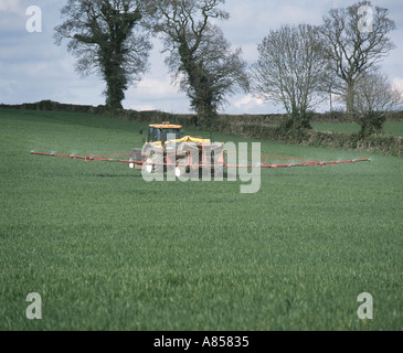 Renault Traktor mit Boom Streuer jungen Weizenernte im Frühjahr Dünger zuweisen Stockfoto