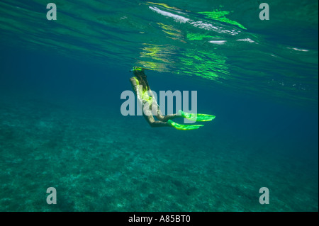 Frau Freediving Elbow Cay Cay Sal Bank Bahamas-Inseln Stockfoto