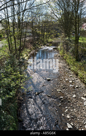 Fluß Holme, Holmfirth, West Yorkshire, England, Vereinigtes Königreich Stockfoto