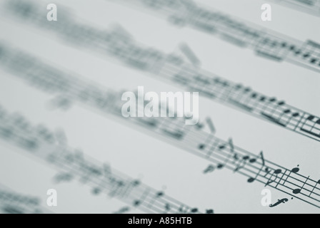 Noten, Nahaufnahme. Stockfoto