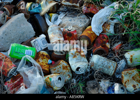 POLLUTIONABANDONED MÜLL DOSEN RECYCELN MÜSSEN Stockfoto