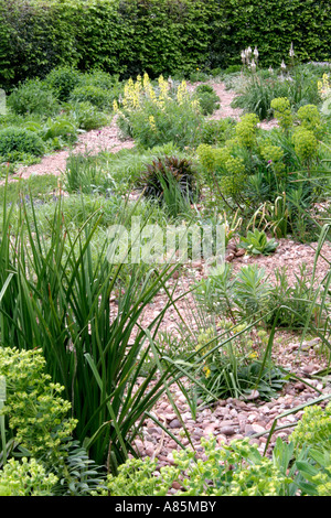 Der Steingarten in Holbrook Devon Ende April Stockfoto