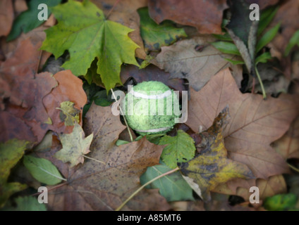 Tennisball auf Blätter im Herbst Stockfoto