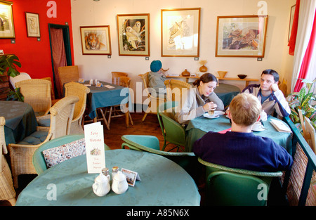 Innenraum des preisgekrönten Ivy House Tee Zimmer Montgomery Powys Mid Wales UK Stockfoto