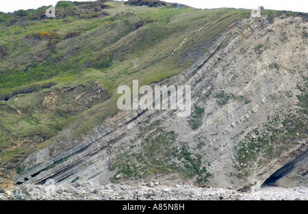 Geologische Gesteinsschichten am Stair Hole westlich von Lulworth Cove Dorset England UK Stockfoto