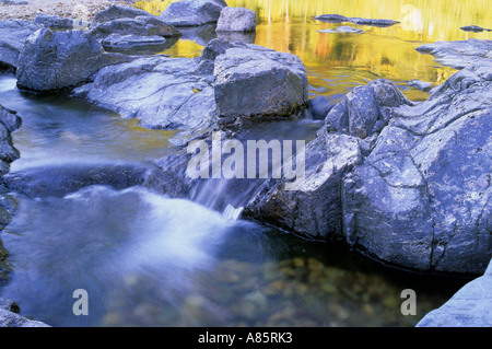 Klares Wasser fließt über Felsen am Johnsons Shut-Ins State Park in Missouri Stockfoto