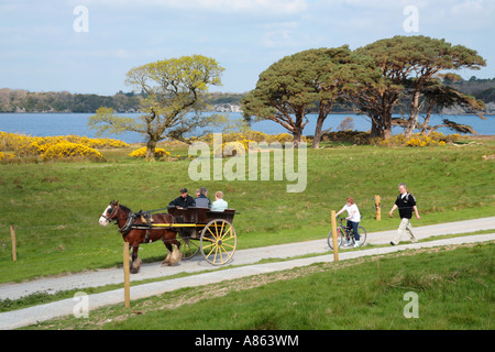 Pferdekutsche Kutsche neben Muckross Lake im Killarney National Park in der Grafschaft Kerry Stockfoto