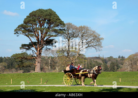 Pferdekutsche im Killarney National Park in der Grafschaft Kerry Stockfoto