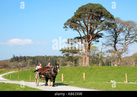 Pferdekutsche im Killarney National Park in der Grafschaft Kerry Stockfoto