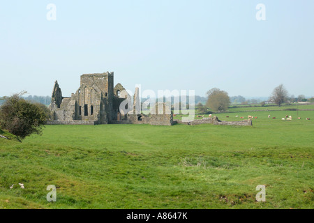 Ruinen der Hore Abbey in Cashel im County Tipperary in Irland Stockfoto