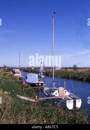 Boote vertäut am Hardley Deich in der Nähe von Loddon auf Norfolk Broads Stockfoto