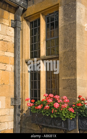 Blumenkasten mit Geranien in Broadway Cotswolds Stockfoto