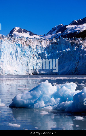 Gletscher in der Meeresbucht Stockfoto