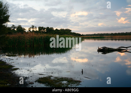 Sonnenuntergang Überlegungen zur See Joondalup in Perth Nordvorort von Joondalup, Western Australia Stockfoto