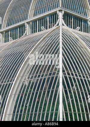 Palm House, Kew Gardens, Royal Botanic Gardens, Richmond, London, England, Großbritannien Stockfoto