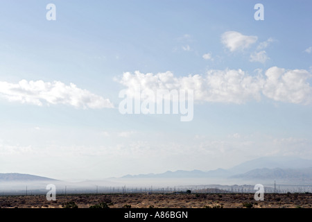 Blick auf ein umfangreiches Feld. Stockfoto