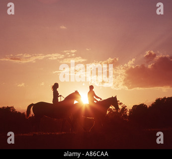 paar Reitpferde im Feld bei Sonnenuntergang Stockfoto