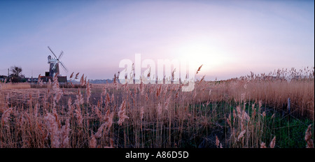 Windmühle auf North Norfolk Küste Stockfoto