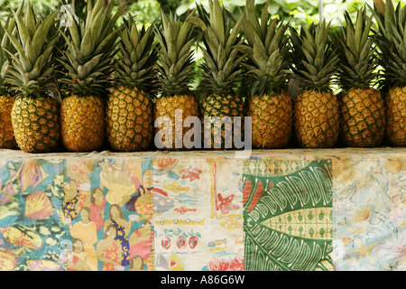 Ansicht von Ananas auf den Ladentisch. Stockfoto