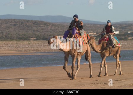 Zwei Kamele Dromedar und ihre Reiter Fuß entlang der Strand von Sidi Kaouki in der Nähe von Essaouira an der atlantischen Küste von Marokko Stockfoto