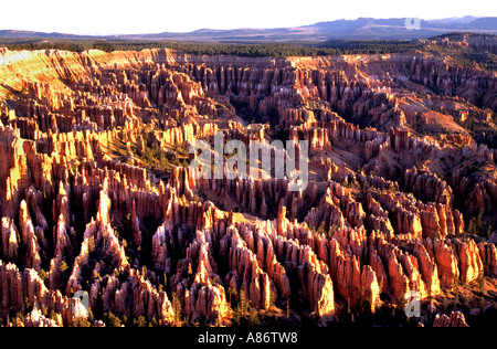 Bryce Canyon National Park in Utah USA Amerika Stockfoto